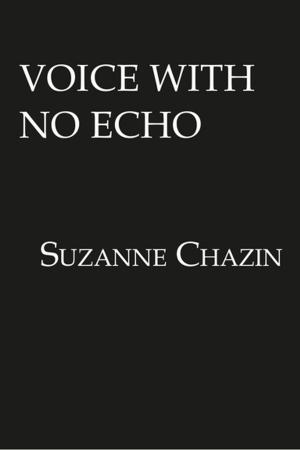 Cover of the book Voice with No Echo by Maureen Leurck
