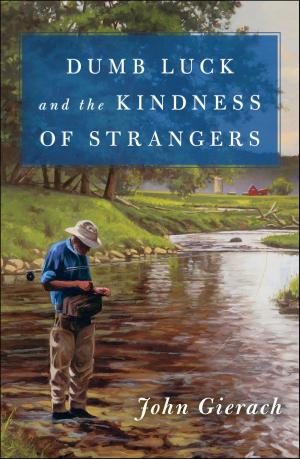 Book cover of Dumb Luck and the Kindness of Strangers