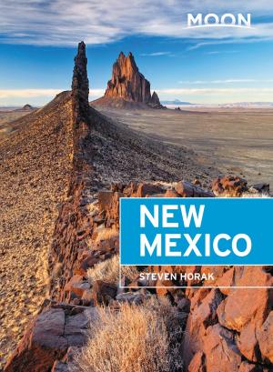 Cover of the book Moon New Mexico by Carter G. Walker