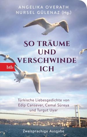 Cover of the book „So träume und verschwinde ich“ by Angélique Mundt