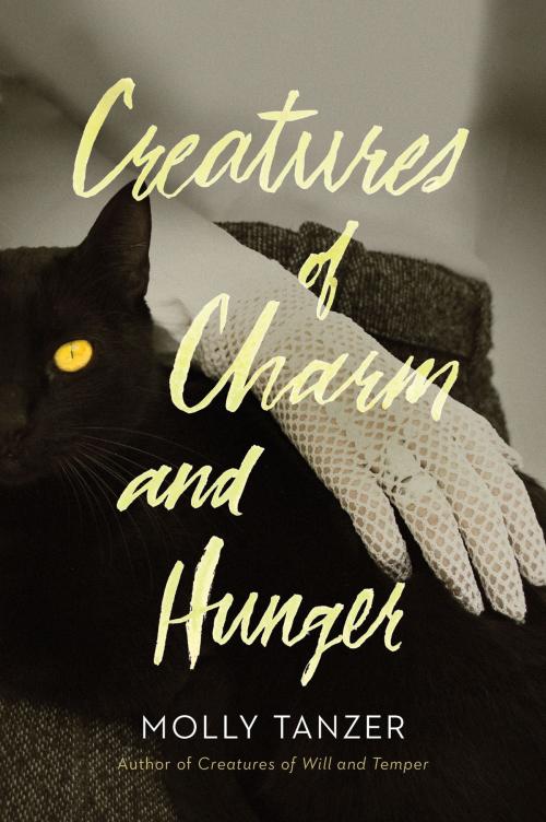 Cover of the book Creatures of Charm and Hunger by Molly Tanzer, HMH Books