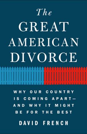 Book cover of The Great American Divorce