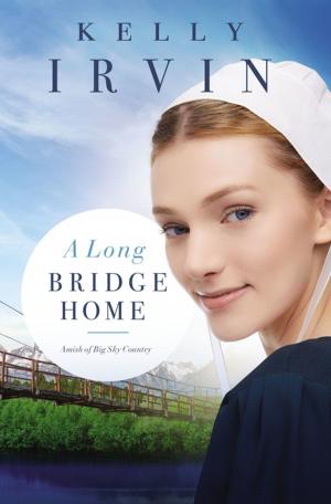 Book cover of A Long Bridge Home