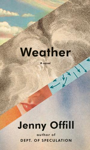 Cover of the book Weather by Langdon Hammer