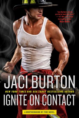 Cover of the book Ignite on Contact by 