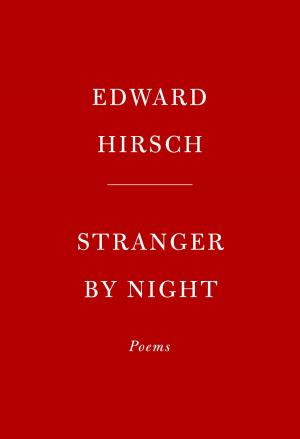 Book cover of Stranger by Night