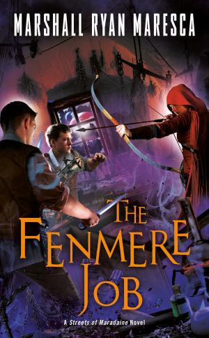 Cover of the book The Fenmere Job by 