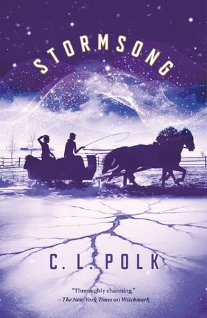 Cover of the book Stormsong by Jill Lang