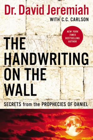 Book cover of The Handwriting on the Wall