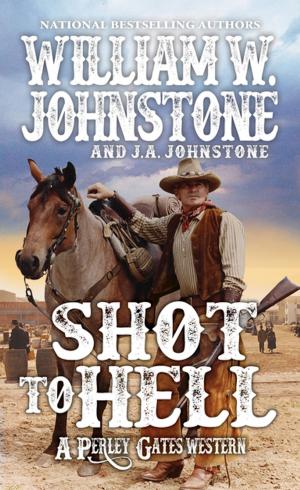 Cover of the book Shot to Hell by James Sanders