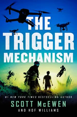 Cover of the book The Trigger Mechanism by Brian McGilloway