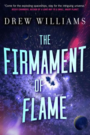 Cover of the book The Firmament of Flame by Juliet Marillier