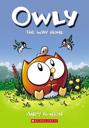 Cover of the book The Way Home (Owly #1) by Jane Clarke