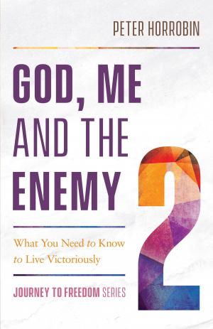 Cover of the book God, Me and the Enemy (Journey to Freedom Book #2) by Alice J. Wisler