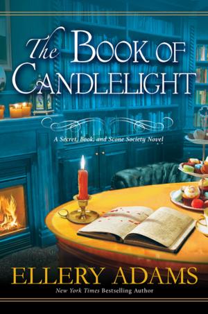 Cover of the book The Book of Candlelight by Samantha Glen