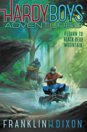 Cover of the book Return to Black Bear Mountain by Kathleen Kudlinski