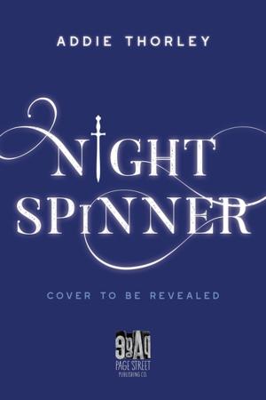 Cover of the book Night Spinner by Emily von Euw