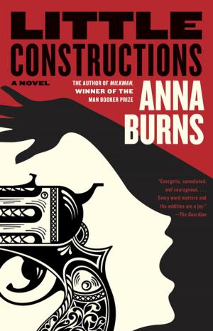 Cover of the book Little Constructions by Christopher Bram