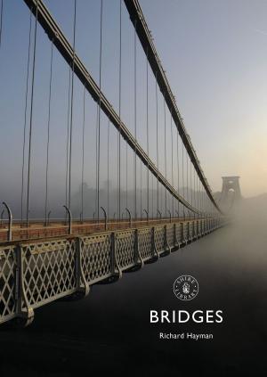 Cover of the book Bridges by Raffaella Barker
