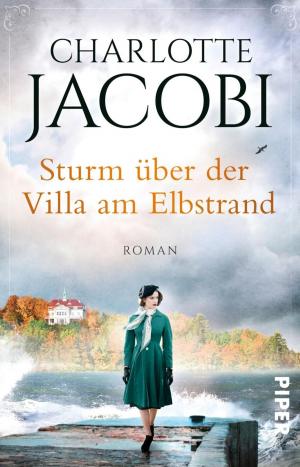 Cover of the book Sturm über der Villa am Elbstrand by Johannes Willms