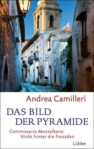 Cover of the book Das Bild der Pyramide by Eric Baumann