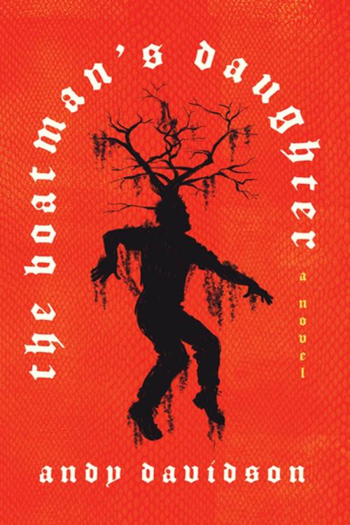 Cover of the book The Boatman's Daughter by Andy Davidson, Farrar, Straus and Giroux