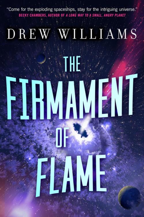 Cover of the book The Firmament of Flame by Drew Williams, Tom Doherty Associates