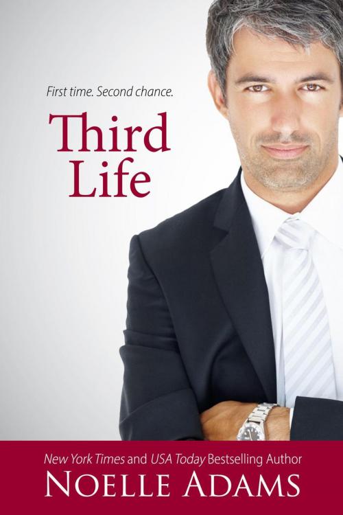 Cover of the book Third Life by Noelle Adams, Noelle Adams