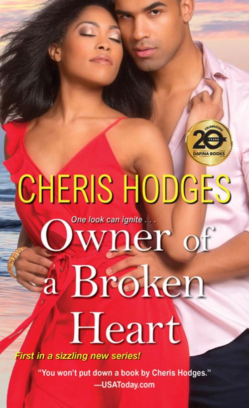 Cover of the book Owner of a Broken Heart by Cheris Hodges, Kensington Books