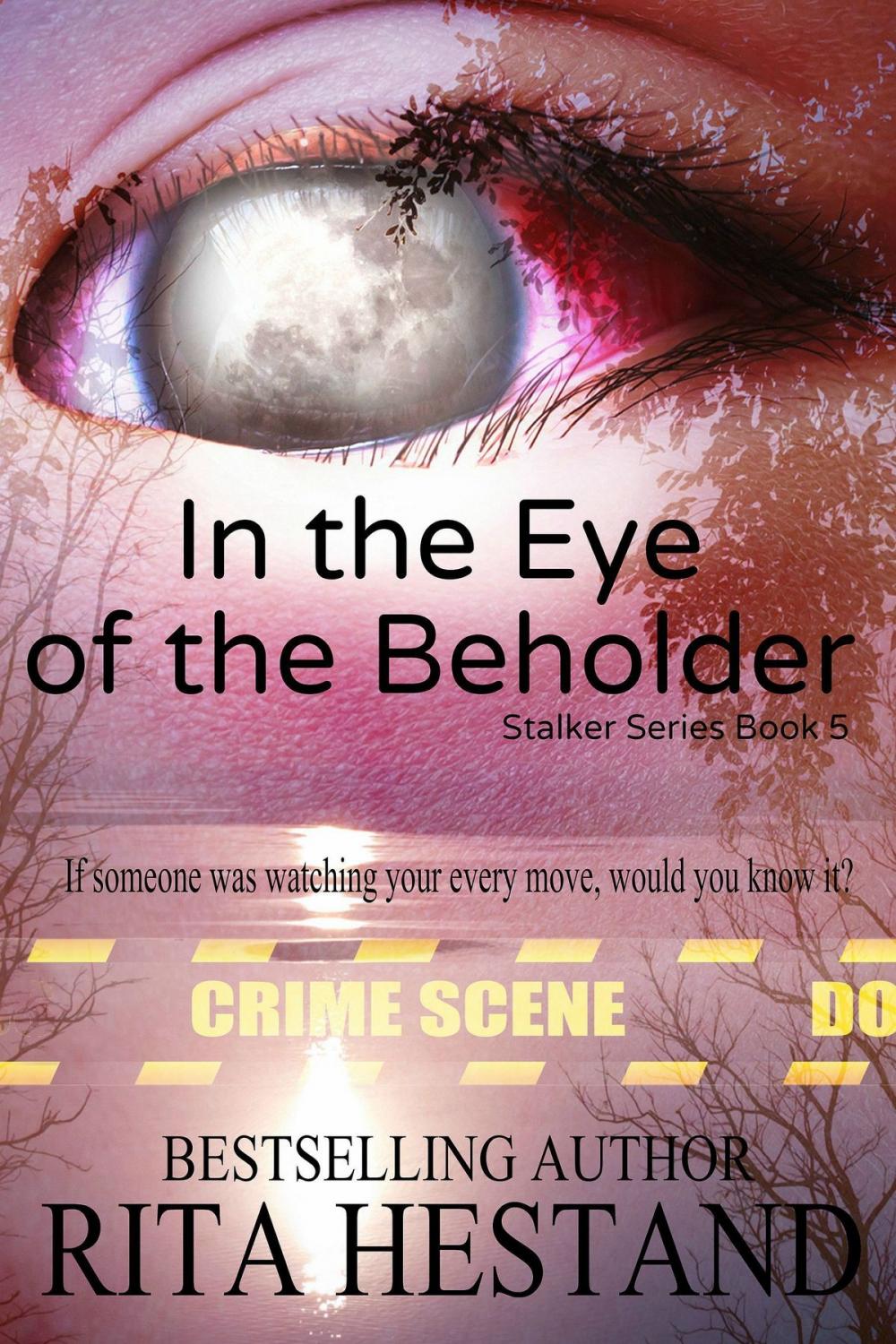 Big bigCover of In the Eye of the Beholder (Book 5 of the Stalker Series)