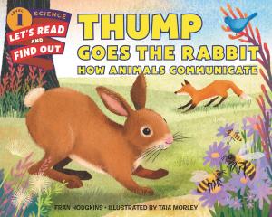Cover of the book Thump Goes the Rabbit by Meg Cabot