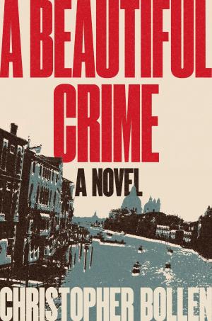 bigCover of the book A Beautiful Crime by 