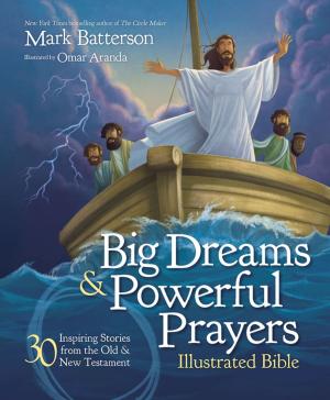 Cover of the book Big Dreams and Powerful Prayers Illustrated Bible by Jan Berenstain, Mike Berenstain