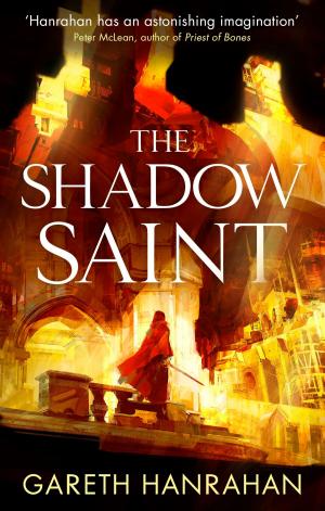 Cover of the book The Shadow Saint by Angus Watson