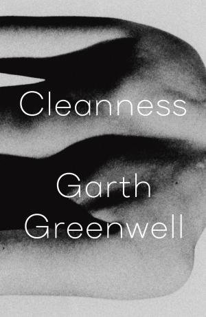 bigCover of the book Cleanness by 