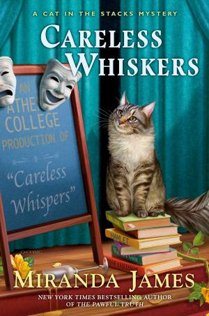 Cover of the book Careless Whiskers by Sue Verrochi