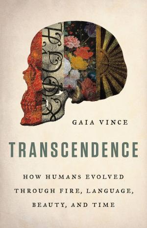 Cover of the book Transcendence by Dan McMillan