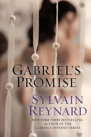 bigCover of the book Gabriel's Promise by 