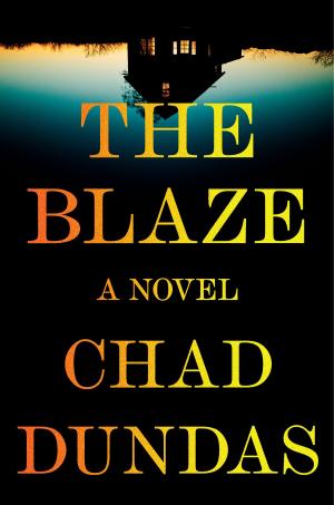 Cover of the book The Blaze by Howard Mittelmark