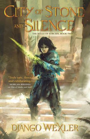 Cover of the book City of Stone and Silence by Endi Webb