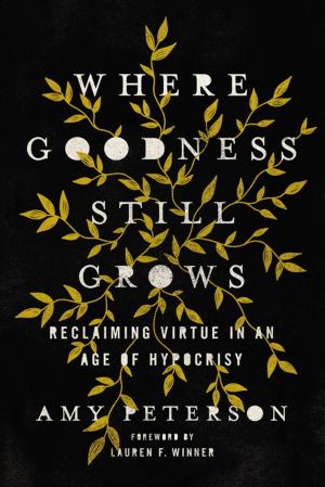 Cover of the book Where Goodness Still Grows by Brant Hansen