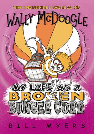 Cover of the book My Life as a Broken Bungee Cord by Skye Jethani