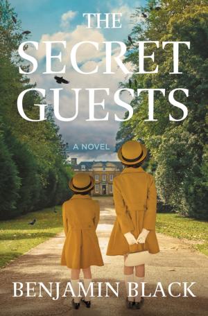 Book cover of The Secret Guests