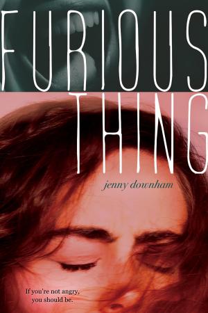 Cover of the book Furious Thing by Lisa Schroeder