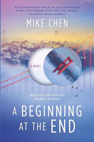 Cover of the book A Beginning at the End by Megan Hart