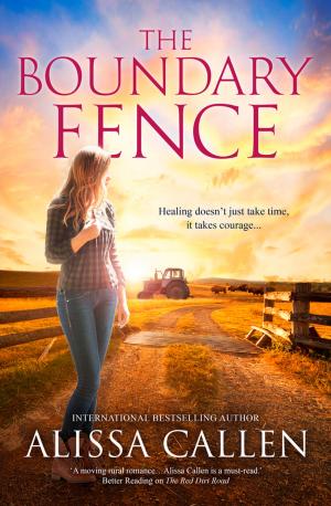 Cover of the book The Boundary Fence by Ronda Gates, M.S., Beverly Whipple, Ph.D.