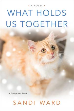 Cover of the book What Holds Us Together by Eve Marie Mont