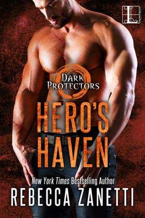 Book cover of Hero's Haven