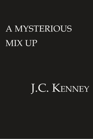 Cover of the book A Mysterious Mix Up by Christopher Davis
