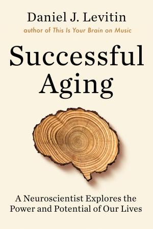 Cover of the book Successful Aging by Alice Hoffman